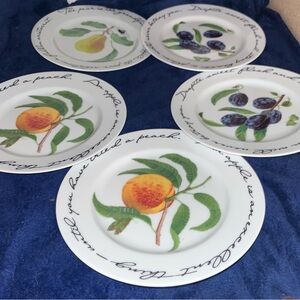 Elegant White Fruit-Themed Dinner Plates Set